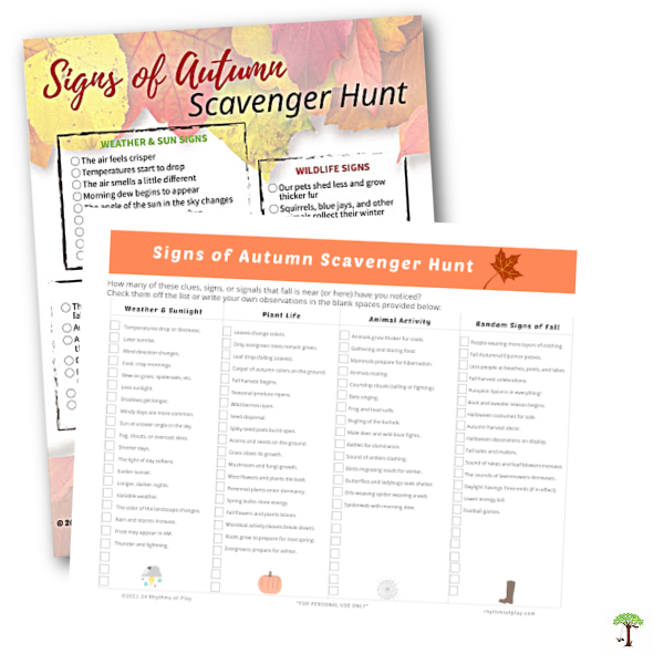 Photograph of the signs of autumn and new updated signs of fall printable scavenger hunt for kids and adults.